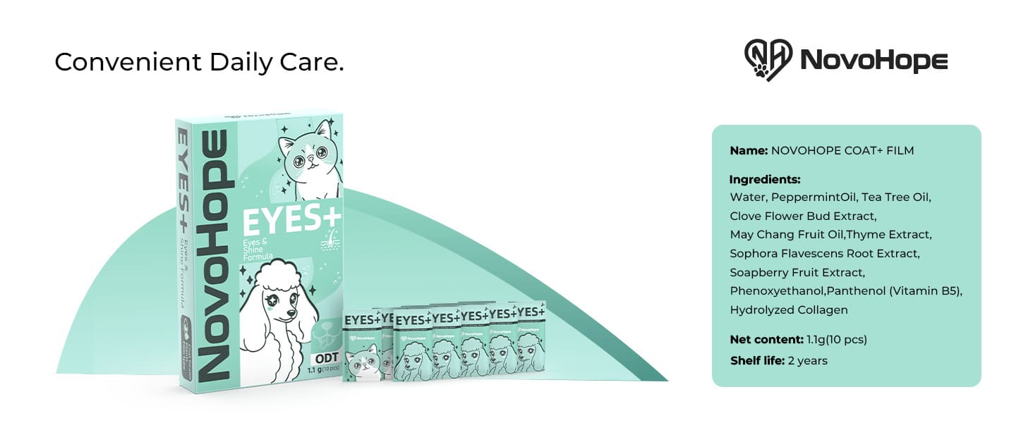 Camera Ready, Anytime